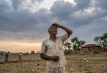 बगहा में चार दिन की भीषण गर्मी से किसान परेशान, बारिश का इंतजार