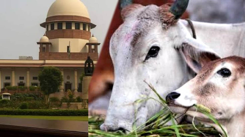 तमिलनाडु में गौहत्या मामले पर सुप्रीम कोर्ट का बड़ा फैसला, HC के आदेश पर रोक हटाई, राज्य सरकार को राहत तमिलनाडु में गौहत्या मामले पर सुप्रीम कोर्ट का बड़ा फैसला, HC के आदेश पर रोक हटाई, राज्य सरकार को राहत
