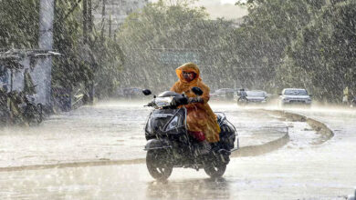 MP Weather Update: 22 जिलों में आज बूंदाबांदी के आसार, 16 जुलाई से एक्टिव होगा नया सिस्टम, फिर होगी भारी बारिश MP Weather Update: 22 जिलों में आज बूंदाबांदी के आसार, 16 जुलाई से एक्टिव होगा नया सिस्टम, फिर होगी भारी बारिश