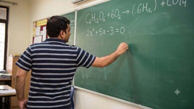 बिहार में TRE-3 शिक्षक भर्ती पर बड़ा संकट: 18 माह NIOS डीएलएड वाले शिक्षकों की सेवा समाप्ति शुरू