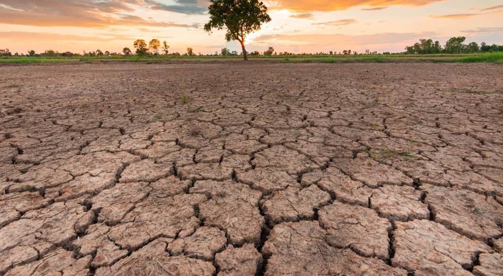 MP Weather: 33 जिलों में सामान्य से कम बारिश, किसानों की बढ़ी चिंता; फिलहाल भारी बारिश के संकेत नहीं MP Weather: 33 जिलों में सामान्य से कम बारिश, किसानों की बढ़ी चिंता; फिलहाल भारी बारिश के संकेत नहीं