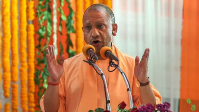 योगी सरकार में कौशल विकास को लगे डिजिटल पंख, ‘कौशल सेतु’ और ‘कौशल सारथी’ पोर्टल का उद्घाटन योगी सरकार में कौशल विकास को लगे डिजिटल पंख, ‘कौशल सेतु’ और ‘कौशल सारथी’ पोर्टल का उद्घाटन