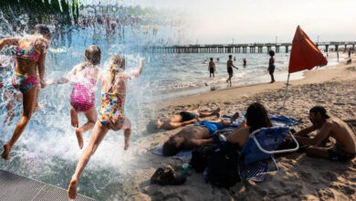 US Heatwave: 115°F ‘फील्स लाइक’ गर्मी से हाहाकार, 6 करोड़ लोग भीषण हीटवेव की चपेट में US Heatwave: 115°F ‘फील्स लाइक’ गर्मी से हाहाकार, 6 करोड़ लोग भीषण हीटवेव की चपेट में