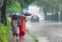 MP Weather Update: मध्य प्रदेश में फिर मेहरबान मानसून, 15 जिलों में भारी से अति भारी बारिश का अलर्ट, 4 दिन जमकर बरसेंगे बादल