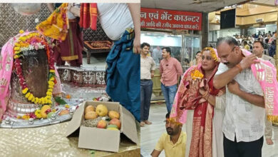 उज्जैन में बाबा महाकाल को चढ़ाया ₹2.5 लाख किलो वाला खास आम, जबलपुर के भक्त 12 साल से निभा रहे अनोखी परंपरा उज्जैन में बाबा महाकाल को चढ़ाया ₹2.5 लाख किलो वाला खास आम, जबलपुर के भक्त 12 साल से निभा रहे अनोखी परंपरा