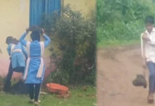 एक पेड़ माँ के नाम के लिए नाला पार कर रहे थे नौनिहाल