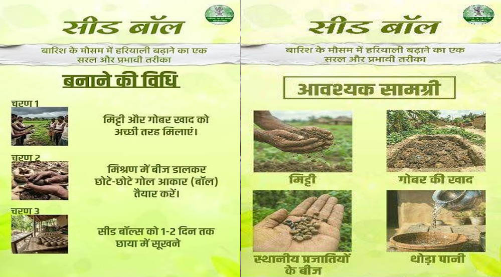 सीड बॉल अभियान- हरियाली बढ़ाने का सरल और प्रभावी माध्यम सीड बॉल अभियान- हरियाली बढ़ाने का सरल और प्रभावी माध्यम