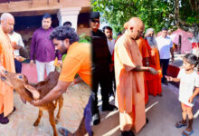 मुख्यमंत्री योगी आदित्यनाथ ने किए मां पाटेश्वरी के दर्शन