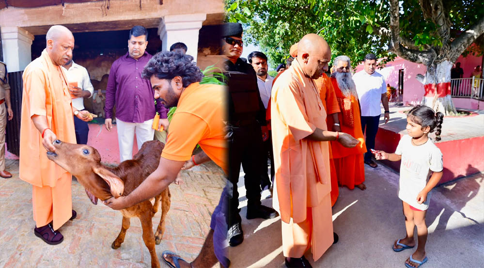 मुख्यमंत्री योगी आदित्यनाथ ने किए मां पाटेश्वरी के दर्शन मुख्यमंत्री योगी आदित्यनाथ ने किए मां पाटेश्वरी के दर्शन
