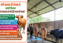 योगी सरकार की योजना से बदली किस्मत, डेयरी से सालाना हो रही 20 लाख की कमाई