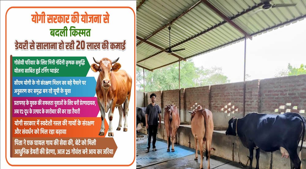योगी सरकार की योजना से बदली किस्मत, डेयरी से सालाना हो रही 20 लाख की कमाई