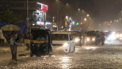 MP में मानसून का डबल अटैक! 3 एक्टिव सिस्टम से अगले 4 दिन झमाझम बारिश, सिवनी में 24 घंटे में 4.9 इंच पानी
