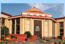 आवारा कुत्तों और मवेशियों पर हाईकोर्ट सख्त! राज्य सरकार से मांगी जवाबदेही, 22 सितंबर तक प्रगति रिपोर्ट तलब