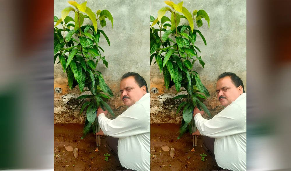अधिमान्य पत्रकार नेतृत्व समिति के प्रदेश अध्यक्ष प्रीतम वर्मन ने लगाया एक वृक्ष अधिमान्य पत्रकार नेतृत्व समिति के प्रदेश अध्यक्ष प्रीतम वर्मन ने लगाया एक वृक्ष