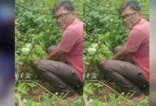 जबलपुर पूर्व प्रदेश अध्यक्ष सुनील कुमार राय ने पीपल के वृक्ष मझौली में लगाए