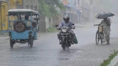 MP Weather Alert: अगले 48 घंटे झमाझम बारिश के आसार, मालवा-निमाड़ के 12 जिलों में भारी बारिश की चेतावनी MP Weather Alert: अगले 48 घंटे झमाझम बारिश के आसार, मालवा-निमाड़ के 12 जिलों में भारी बारिश की चेतावनी