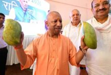 उत्तर प्रदेश आम महोत्सव 2026: सीएम योगी ने बताया—राज्य देश के 26% आम उत्पादन का केंद्र