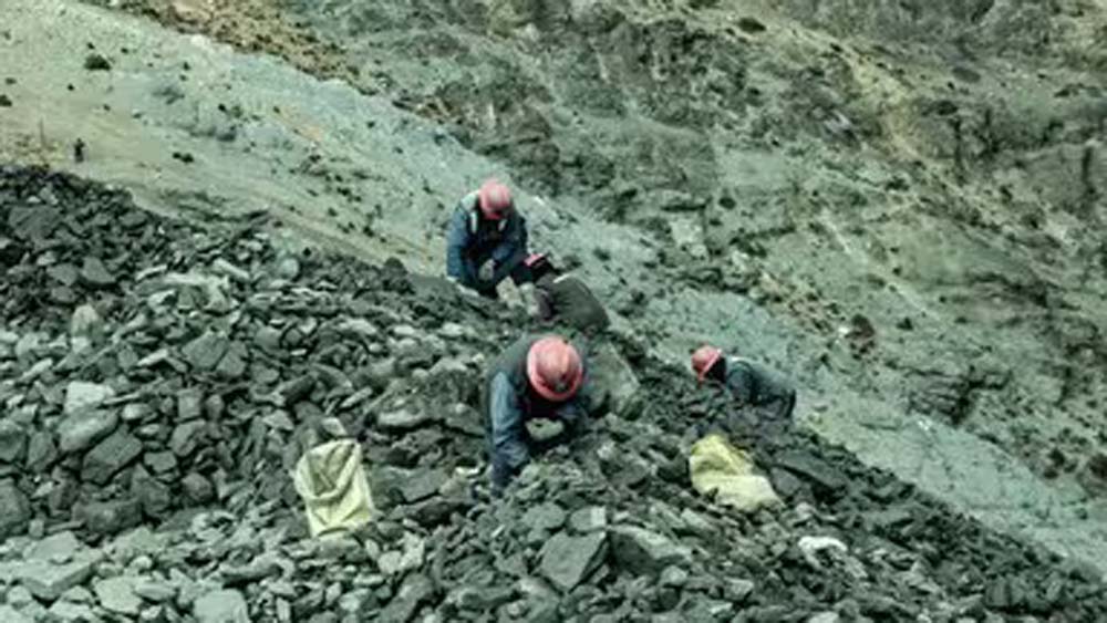 बिहार में 44 नए भूखंडों पर पत्थर खनन को सरकार ने दी मंजूरी बिहार में 44 नए भूखंडों पर पत्थर खनन को सरकार ने दी मंजूरी