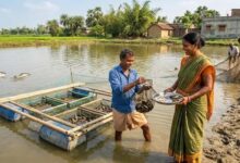 बिहार में मछली के साथ मोती पालन, किसानों की बढ़ेगी आमदनी अब