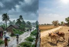 बिहार में मौसम के दो रंग, उत्तर में बारिश तो पटना में उमस भरी गर्मी