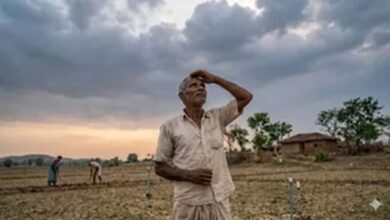 बिहार में कम बारिश का अलर्ट, कृषि वैज्ञानिकों ने किसानों को दी सूखा-रोधी खेती की सलाह