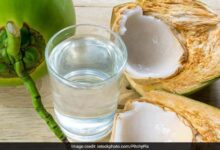 नारियल पानी महंगा पड़ रहा? गर्मी में हाइड्रेशन के लिए ये 5 सस्ते देसी ड्रिंक्स हैं बेहतरीन विकल्प