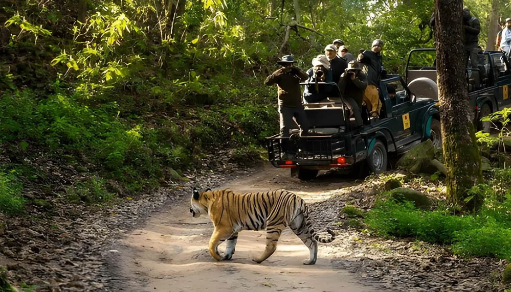 वन, वन्यजीव और पर्यावरण कानूनों के प्रभावी क्रियान्वयन के लिए न्यायिक एवं प्रशासनिक समन्वय ज़रूरी वन, वन्यजीव और पर्यावरण कानूनों के प्रभावी क्रियान्वयन के लिए न्यायिक एवं प्रशासनिक समन्वय ज़रूरी