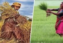बिहार में बढ़ी महिला किसानों की ताकत, 89 लाख का आंकड़ा पार