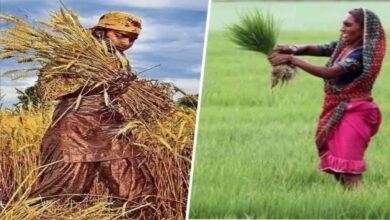 बिहार में बढ़ी महिला किसानों की ताकत, 89 लाख का आंकड़ा पार