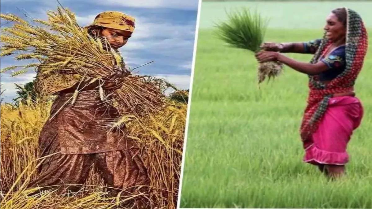 बिहार में बढ़ी महिला किसानों की ताकत, 89 लाख का आंकड़ा पार