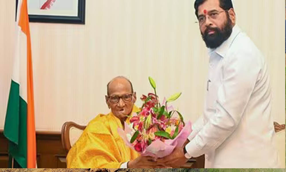 महाराष्ट्र में सियासी हलचल तेज! शिंदे के दफ्तर पहुंचे शरद पवार, NCP विधायकों संग बैठक से NDA में शामिल होने की अटकलें महाराष्ट्र में सियासी हलचल तेज! शिंदे के दफ्तर पहुंचे शरद पवार, NCP विधायकों संग बैठक से NDA में शामिल होने की अटकलें