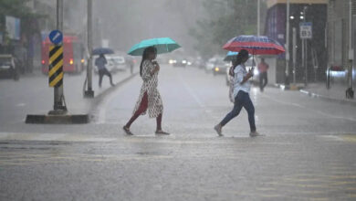 MP Weather Alert: ग्वालियर-चंबल में आज भारी बारिश, भिंड में रेड अलर्ट; उज्जैन-सागर भी होंगे तरबतर
