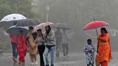 CG Weather Update: अवदाब के असर से रायपुर समेत कई जिलों में भारी बारिश का अलर्ट CG Weather Update: अवदाब के असर से रायपुर समेत कई जिलों में भारी बारिश का अलर्ट