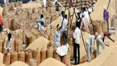 दुर्ग में धान खरीदी में गड़बड़ी, समिति प्रबंधक के खिलाफ अपराध दर्ज