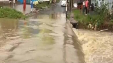 CG में भारी बारिश से हालात बिगड़े, नदी-नाले उफान पर; CM साय ने सभी कलेक्टरों को किया अलर्ट