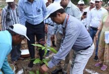 बिलासपुर में केंद्रीय टीम ने वीबी-जीरामजी योजना और जल संरक्षण कार्यों का किया निरीक्षण
