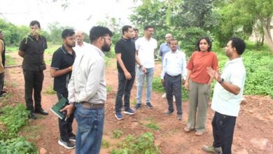 शहरों को हरा-भरा और प्रदूषण मुक्त बनाएगी नमो हरित-नगर योजना,