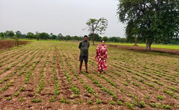 किसानों ने अपनाया लाभकारी फसलों का विकल्प, हो रहा है किसानों की आमदनी में इजाफा