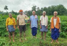 लैलूंगा के पाकरगांव के सुगंधित जवांफूल चावल की खुशबू पहुंच रही मुख्यमंत्री निवास तक