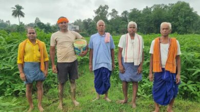 लैलूंगा के पाकरगांव के सुगंधित जवांफूल चावल की खुशबू पहुंच रही मुख्यमंत्री निवास तक लैलूंगा के पाकरगांव के सुगंधित जवांफूल चावल की खुशबू पहुंच रही मुख्यमंत्री निवास तक