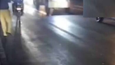 राजगढ़ में दर्दनाक हादसा, ट्रक ने टोल प्लाजा के पास 17 मवेशियों को रौंदा; बैरिकेड्स लगाकर चालक पकड़ा