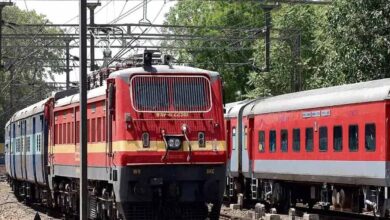 भोपाल डिवीजन में पक्षियों से नहीं रुकेगी ट्रेनों की रफ्तार, एंटी-बर्ड डिस्क से होगा शॉर्ट सर्किट पर नियंत्रण