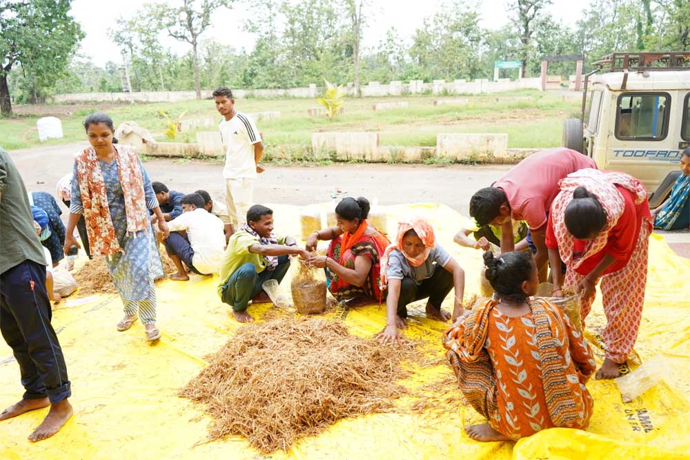 सुकमा में मशरूम उत्पादन का प्रशिक्षण बना आत्मनिर्भरता की नई राह सुकमा में मशरूम उत्पादन का प्रशिक्षण बना आत्मनिर्भरता की नई राह