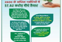 रोपने के लिए प्रदेश की 2600 से अधिक नर्सरियों में 57.62 करोड़ पौधे तैयार