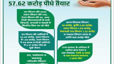 रोपने के लिए प्रदेश की 2600 से अधिक नर्सरियों में 57.62 करोड़ पौधे तैयार
