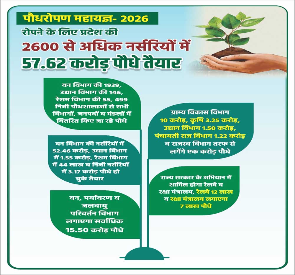 रोपने के लिए प्रदेश की 2600 से अधिक नर्सरियों में 57.62 करोड़ पौधे तैयार रोपने के लिए प्रदेश की 2600 से अधिक नर्सरियों में 57.62 करोड़ पौधे तैयार