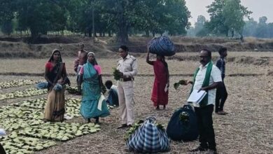 तेन्दूपत्ता संग्राहकों के खातों में पहुंचने लगी बोनस राशि