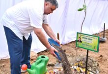“एक पेड़ माँ के नाम” अभियान के तहत मंत्री राजेश अग्रवाल ने नवीन विधानसभा परिसर में लगाया पौधा “एक पेड़ माँ के नाम” अभियान के तहत मंत्री राजेश अग्रवाल ने नवीन विधानसभा परिसर में लगाया पौधा