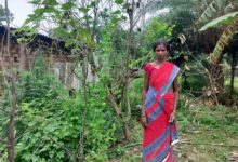 किचन गार्डन से आत्मनिर्भर बन रहीं बिहान की दीदियां किचन गार्डन से आत्मनिर्भर बन रहीं बिहान की दीदियां