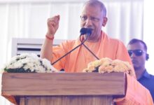 भूजल सप्ताह-2026: सहजन के बीज और ज्वालामुखीय पत्थर से बच सकता है लाखों लीटर पानी